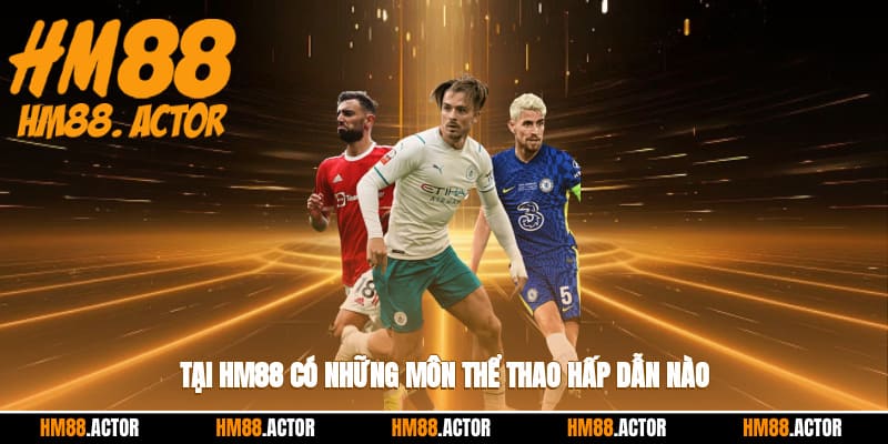 Những môn thể thao HM88 hấp dẫn 